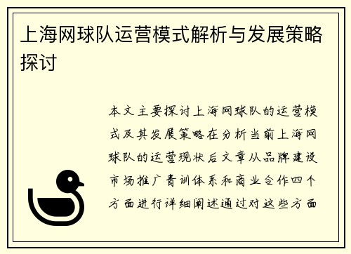 上海网球队运营模式解析与发展策略探讨